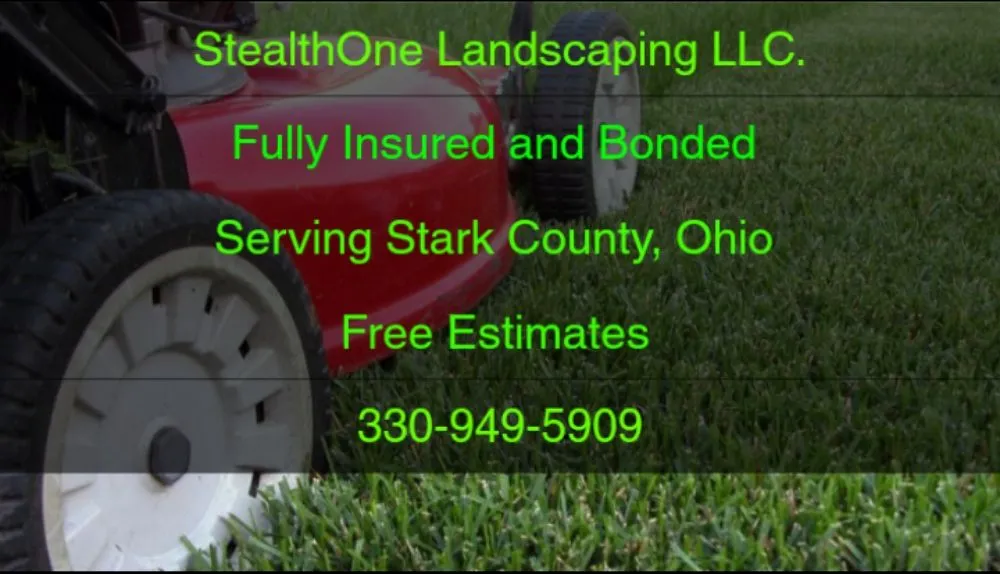 Custom yard cleanup service near you in Canton, OH by StealthOne Landscaping