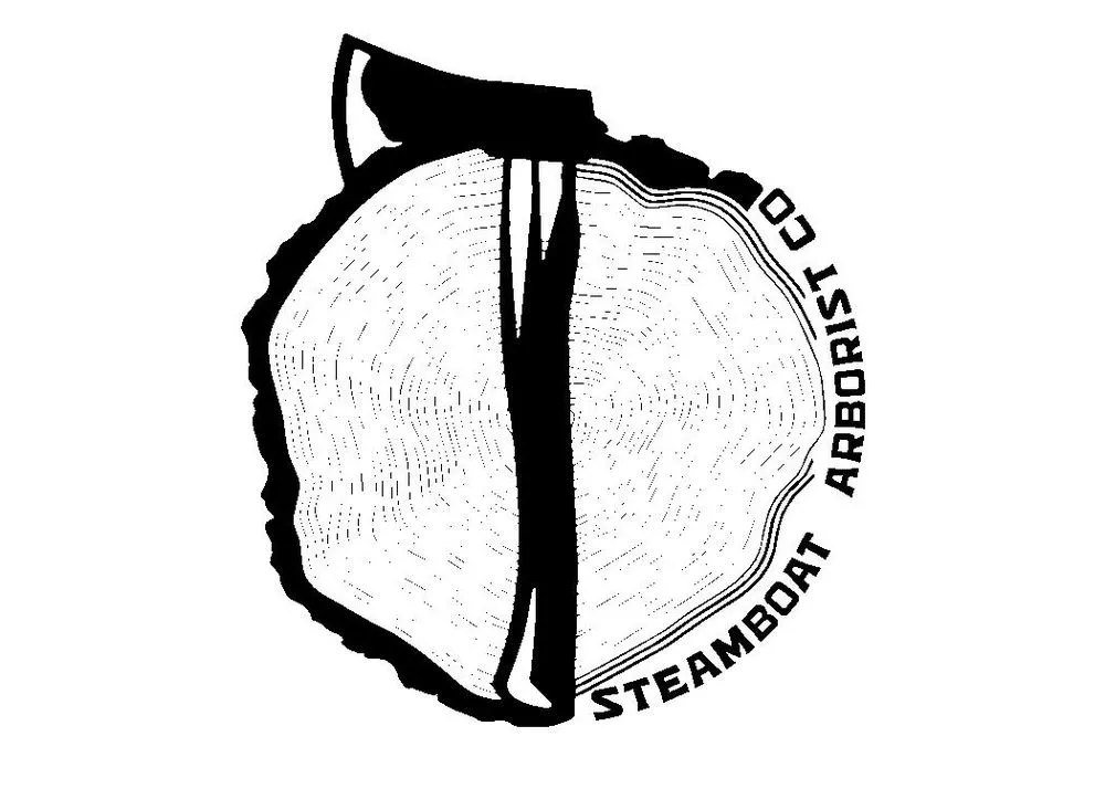 Trusted residential landscaping for residential properties in Clark, CO by Steamboat Arborist