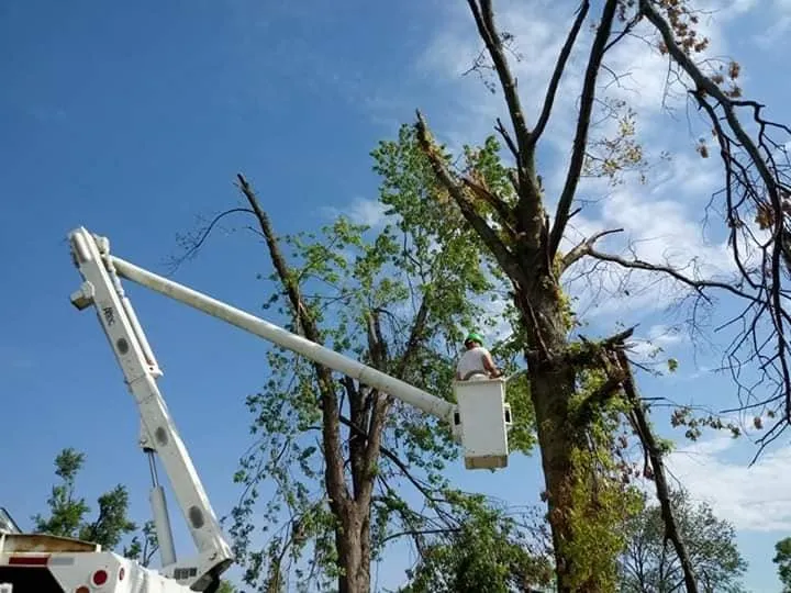 Local residential landscaping for year-round maintenance across Eaton, OH - Stearman And Sons Tree Service