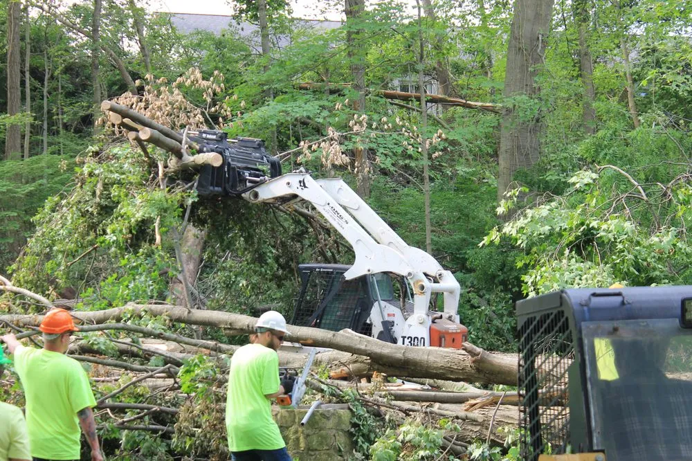 Trusted landscape design near you across Eaton, OH - Stearman And Sons Tree Service