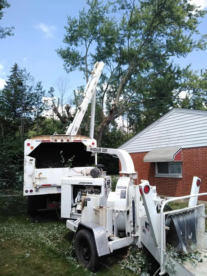 Trusted lawn mowing service for outdoor upgrades in Eaton, OH by Stearman And Sons Tree Service