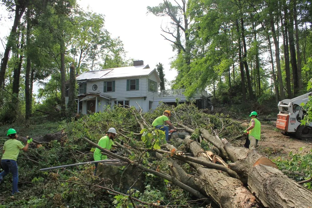Reliable yard maintenance near you across Eaton, OH - Stearman And Sons Tree Service