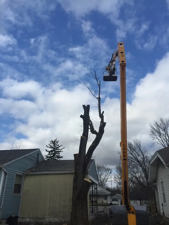 Professional landscaping services with custom design across Eaton, OH - Stearman And Sons Tree Service