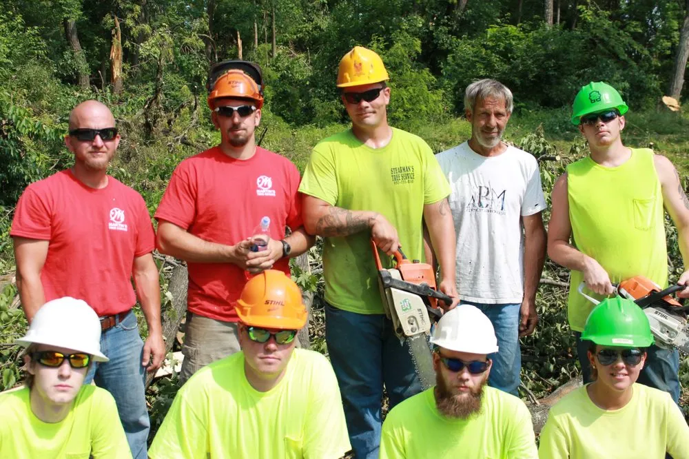 Professional yard maintenance experts serving Eaton, OH - Stearman And Sons Tree Service