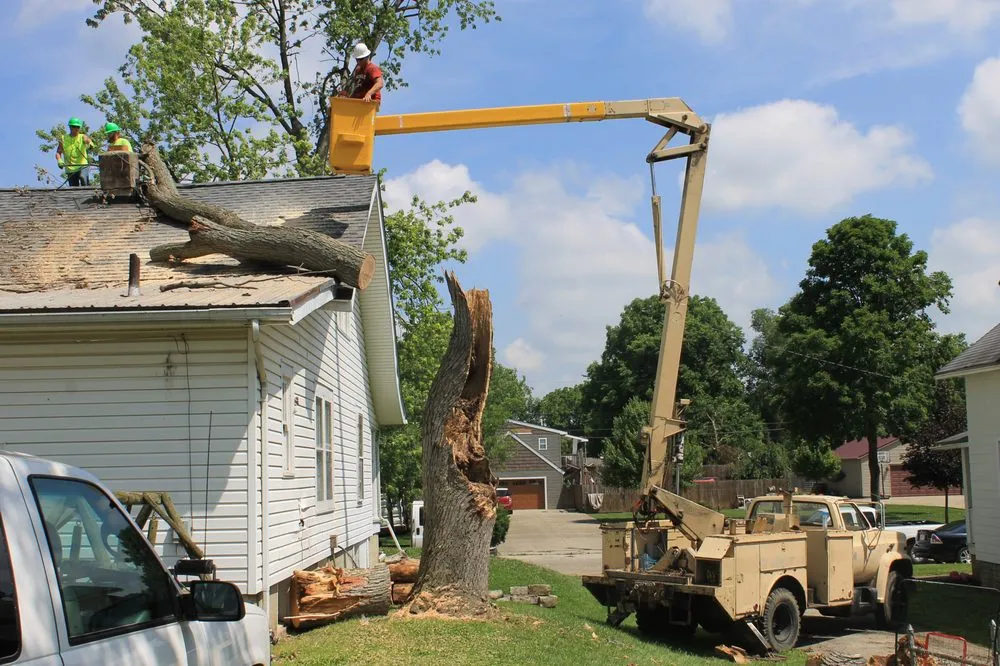 Custom lawn care service for beautiful yards across Eaton, OH - Stearman And Sons Tree Service