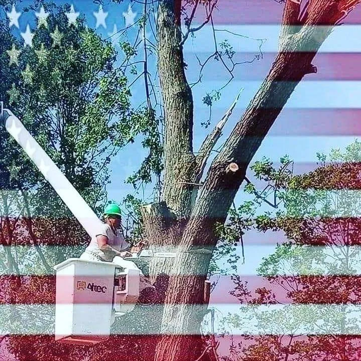 Trusted landscape design for residential properties in Eaton, OH by Stearman And Sons Tree Service