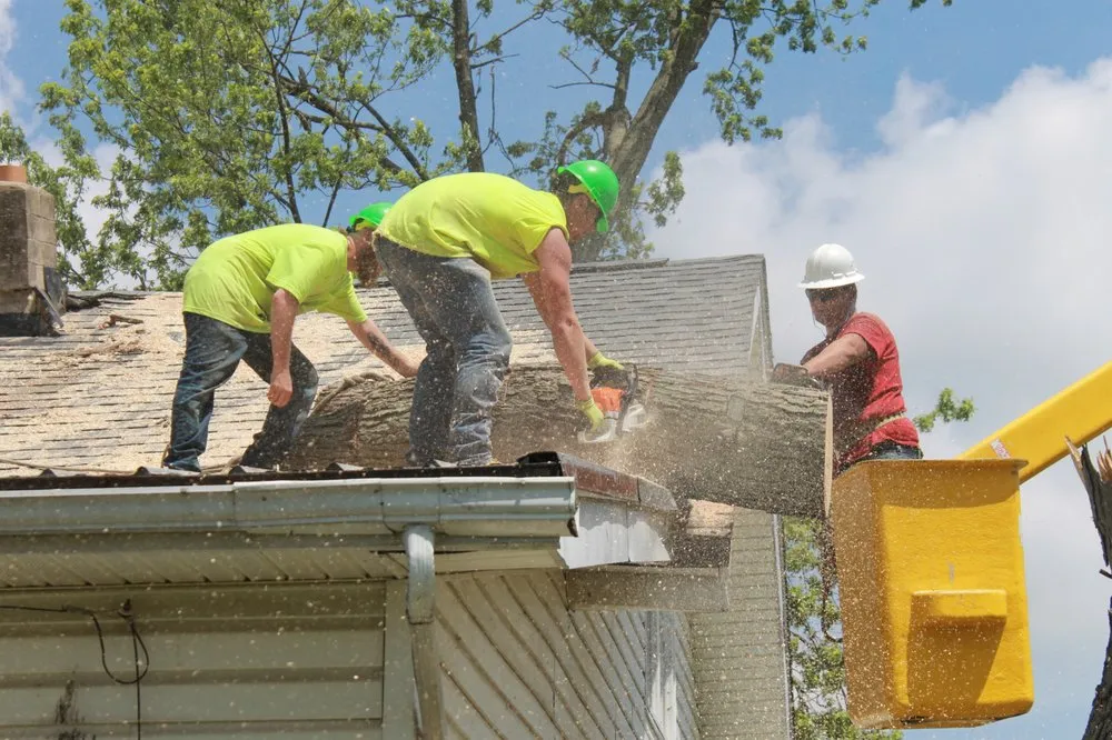 Top-rated landscaping services in Eaton, OH by Stearman And Sons Tree Service