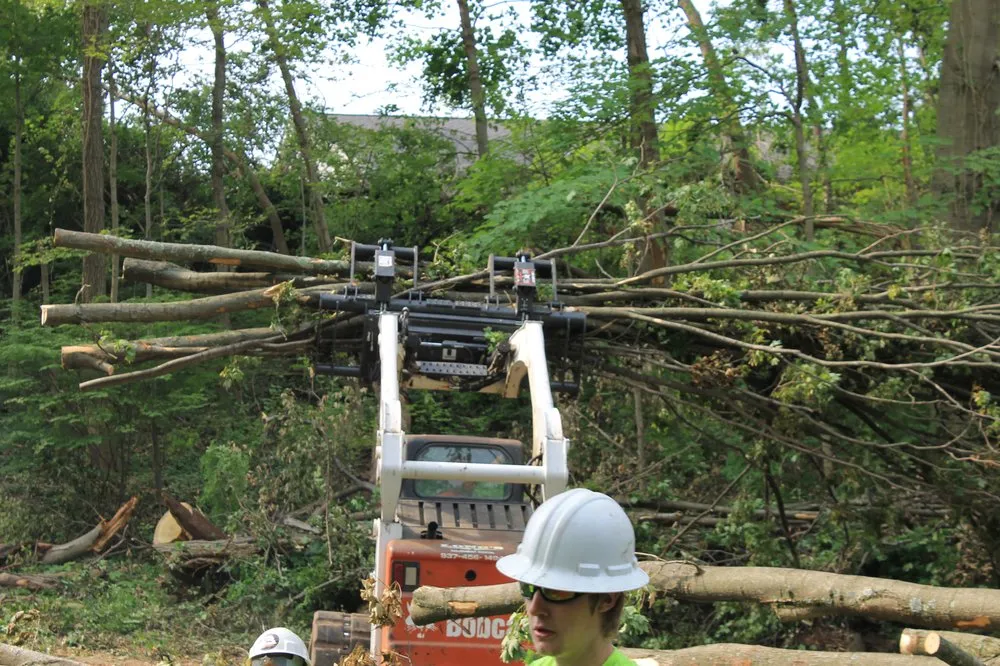 Top-rated residential landscaping in Eaton, OH - Stearman And Sons Tree Service
