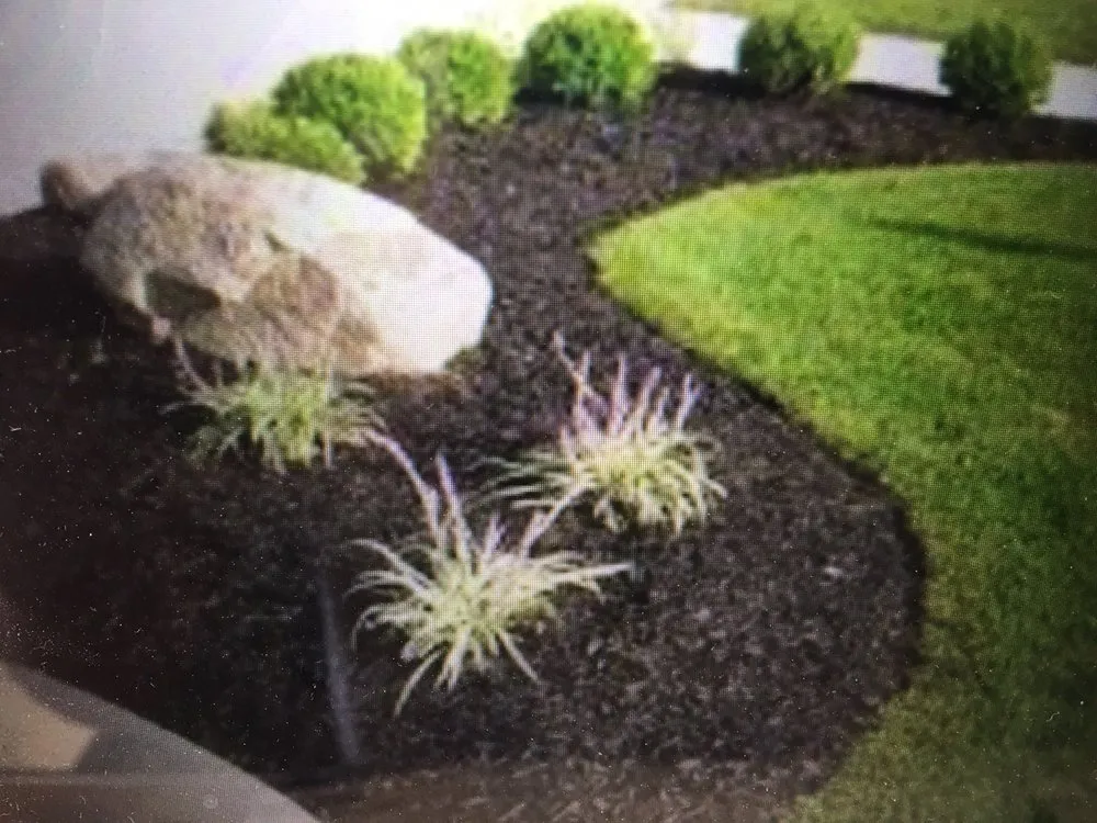 Reliable lawn mowing service for beautiful yards in Poway, CA by Stearnscape