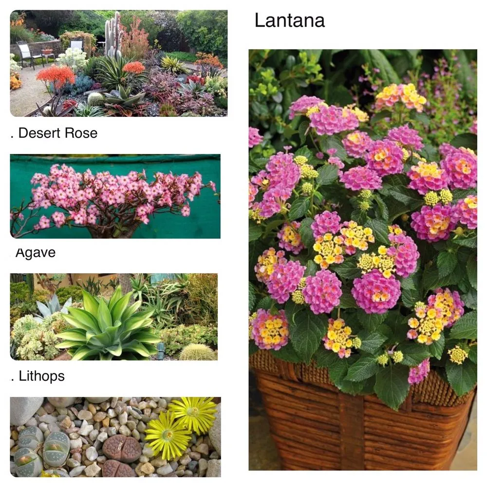 Affordable landscape design for residential properties across Poway, CA - Stearnscape