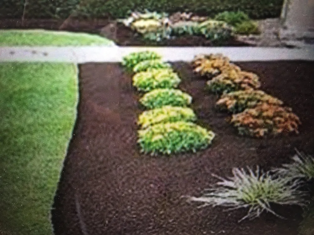 Reliable residential landscaping in Poway, CA - Stearnscape