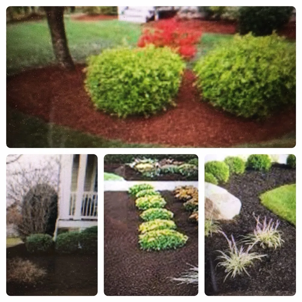 Reliable yard maintenance in Poway, CA by Stearnscape