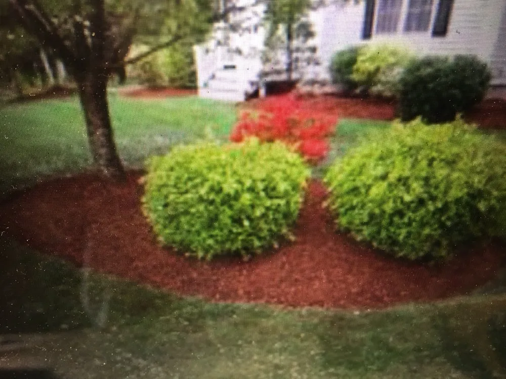 Top-rated lawn mowing service in Poway, CA - Stearnscape