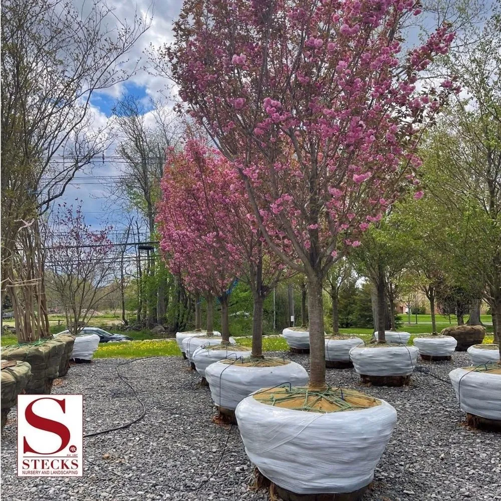 Custom outdoor landscaping in Bethel, CT by Stecks Nursery And Landscaping