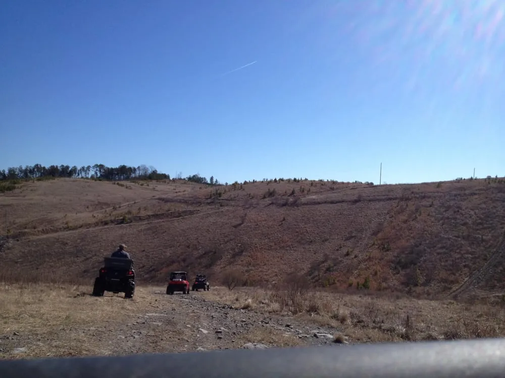 Expert landscape design in Pelham, AL by Steed Management