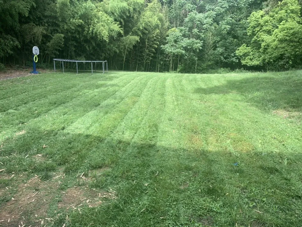 Reliable garden landscaping in Alexandria, VA - Steel Bull Junk Removal