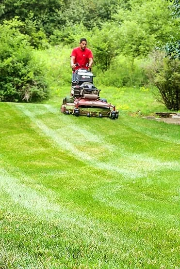 Reliable yard maintenance in Pittsburgh, PA by Steel City Landscape