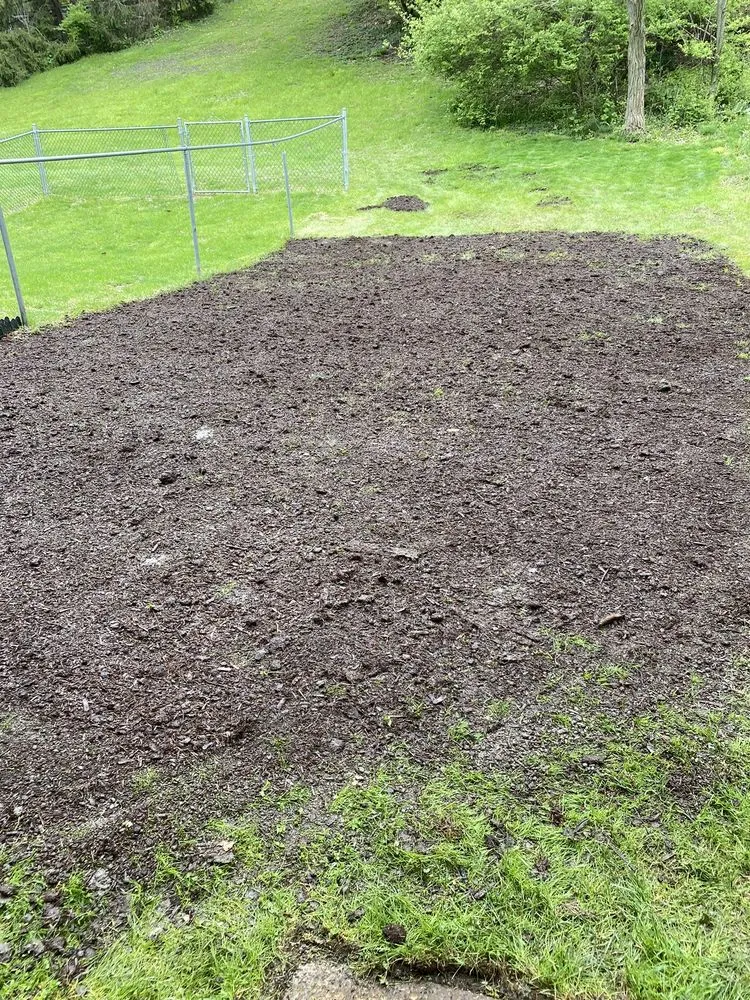 Expert landscaping services for outdoor upgrades across Pittsburgh, PA - Steel City Landscape