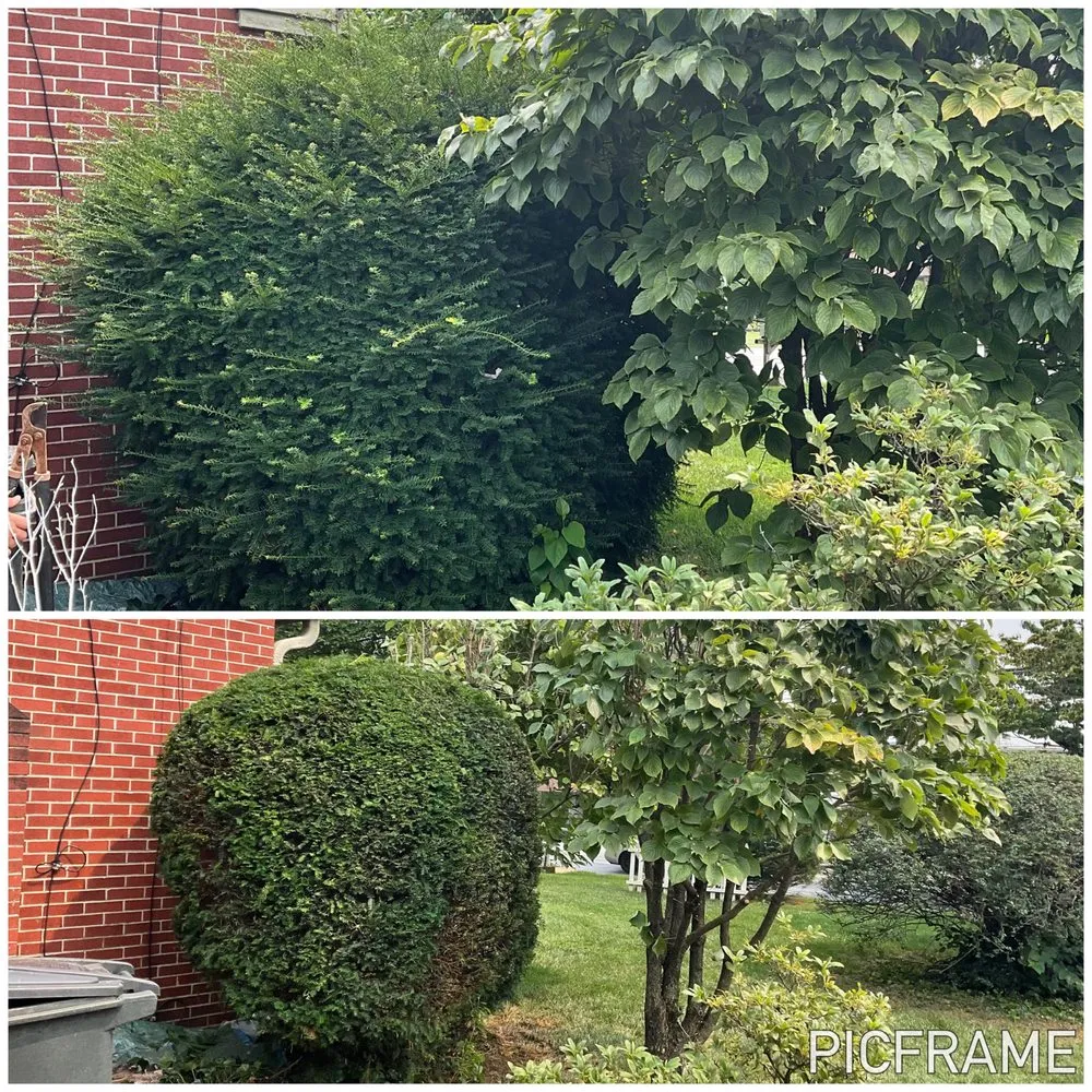 Local residential landscaping in Willow Street, PA by Steel Cut Lawn Care