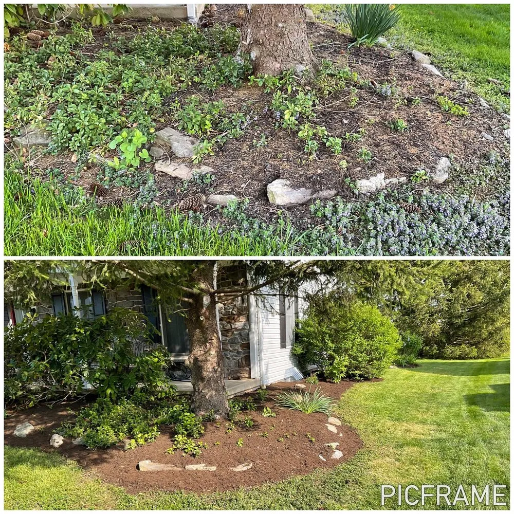 Expert residential landscaping near you across Willow Street, PA - Steel Cut Lawn Care