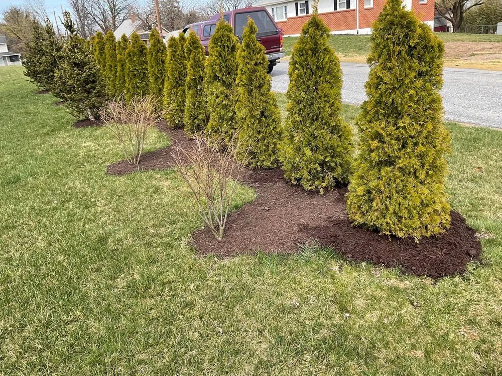 Professional landscaping services for homes across Willow Street, PA - Steel Cut Lawn Care