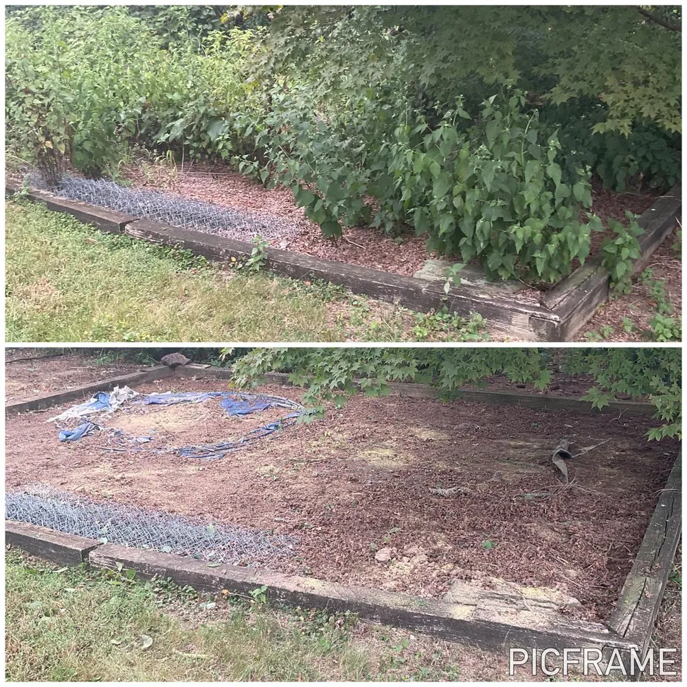 Expert lawn care service in Willow Street, PA by Steel Cut Lawn Care