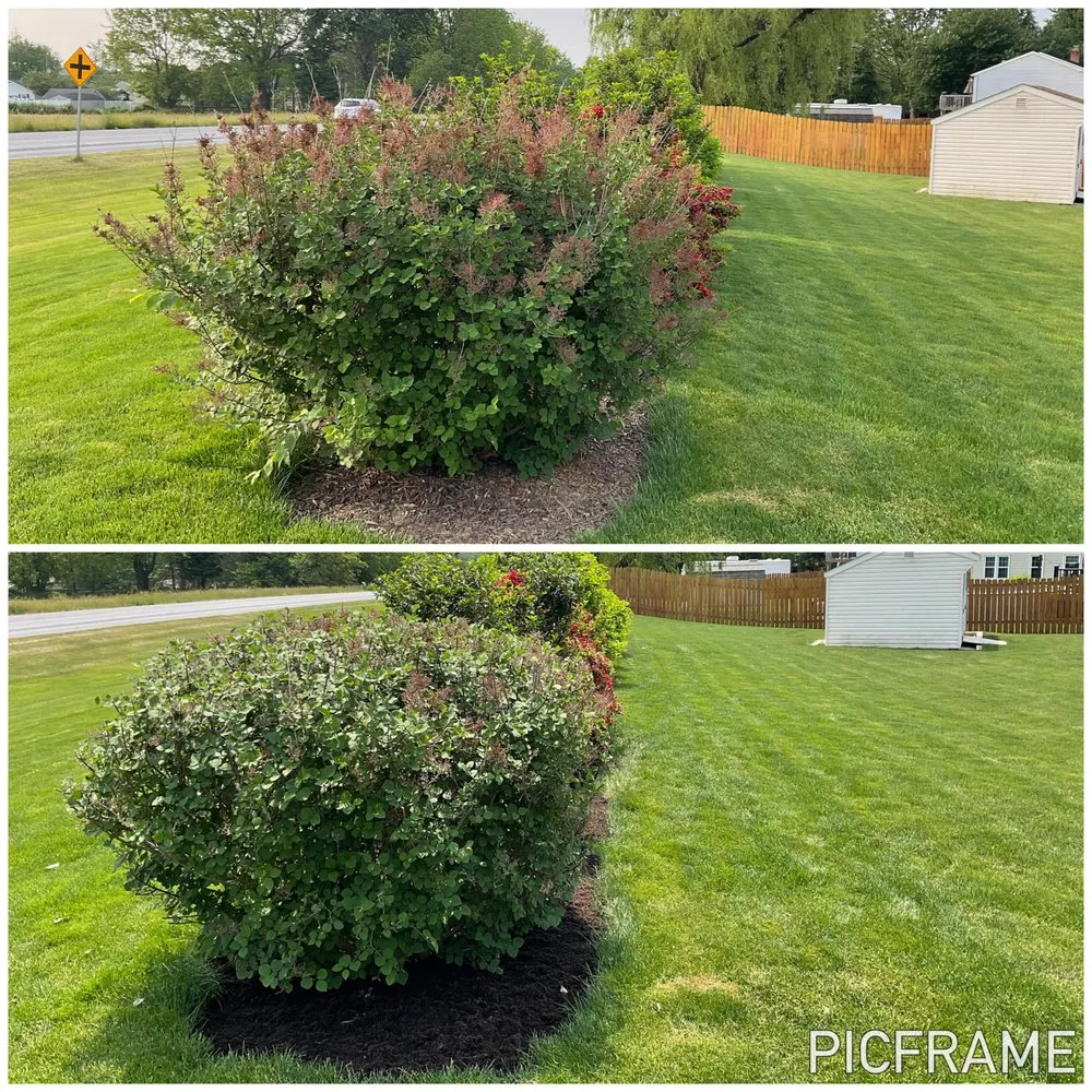 Local yard cleanup service for outdoor upgrades in Willow Street, PA by Steel Cut Lawn Care