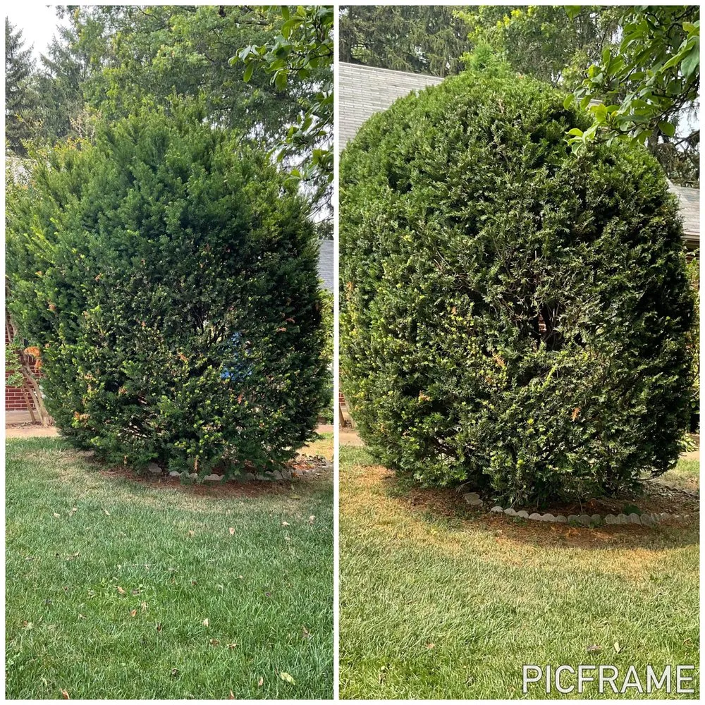 Professional lawn mowing service in Willow Street, PA - Steel Cut Lawn Care