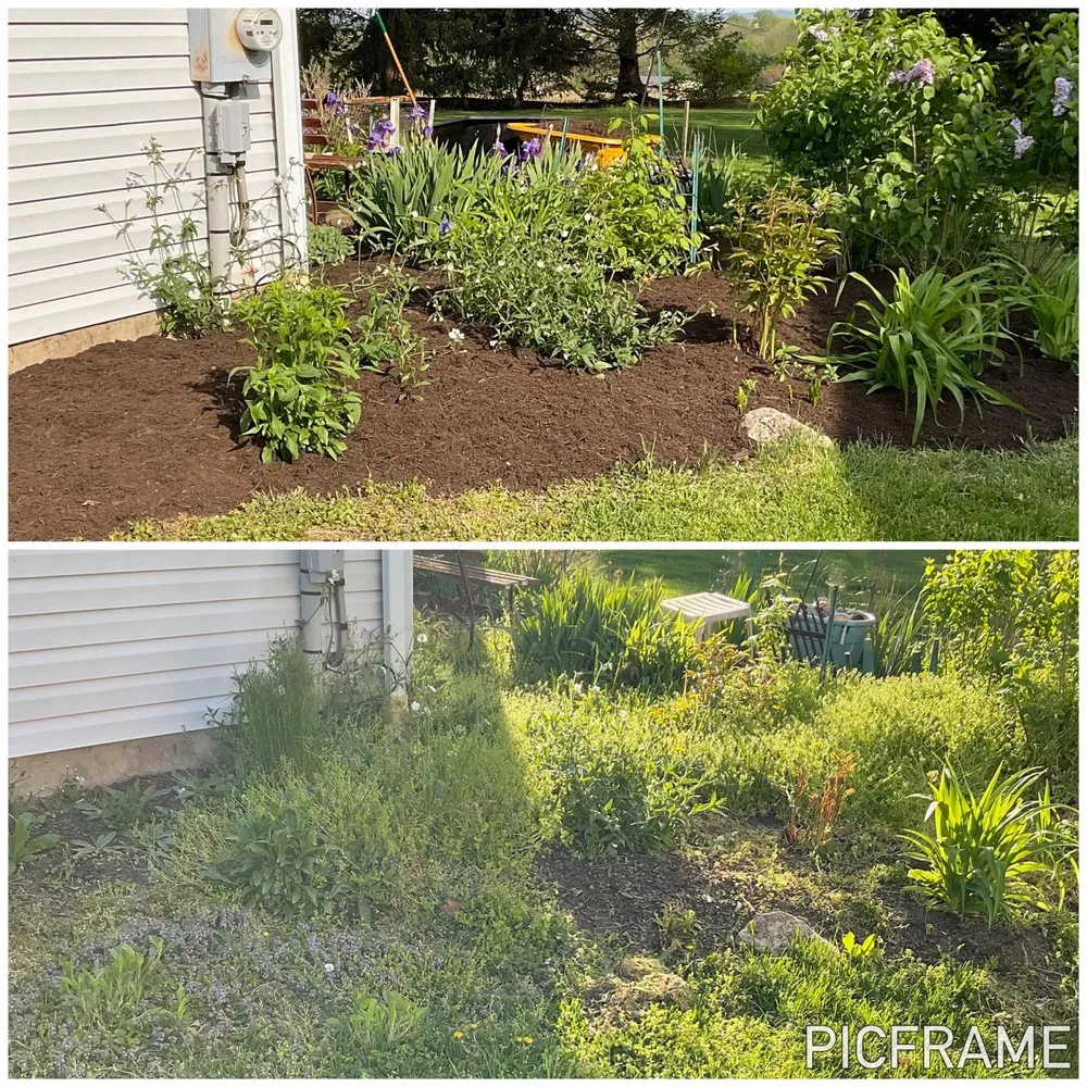 Affordable residential landscaping for year-round maintenance in Willow Street, PA by Steel Cut Lawn Care