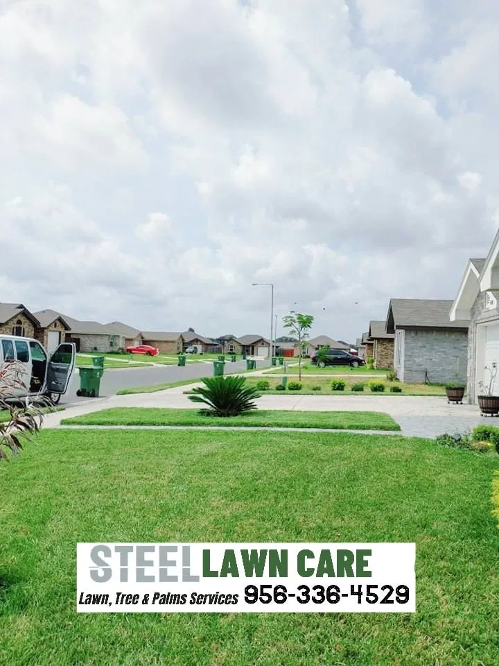 Professional landscape installation experts serving Brownsville, TX - STEEL LAWN CARE