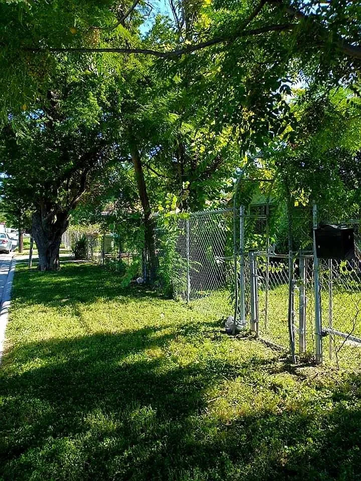 Reliable landscaping services for outdoor upgrades across Brownsville, TX - STEEL LAWN CARE