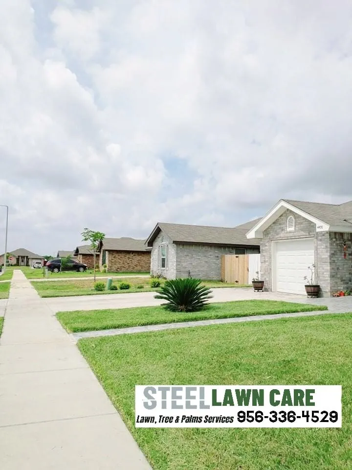 Affordable outdoor landscaping for homes across Brownsville, TX - STEEL LAWN CARE