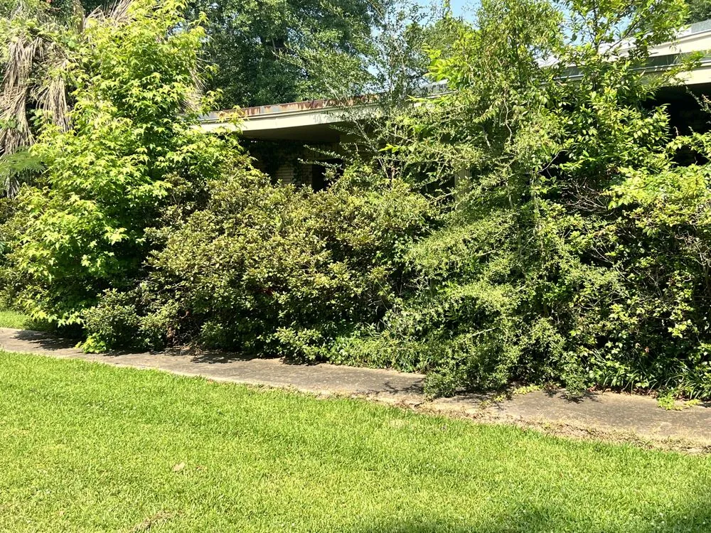 Trusted yard maintenance experts serving Monroe, LA - Steel Lawncare