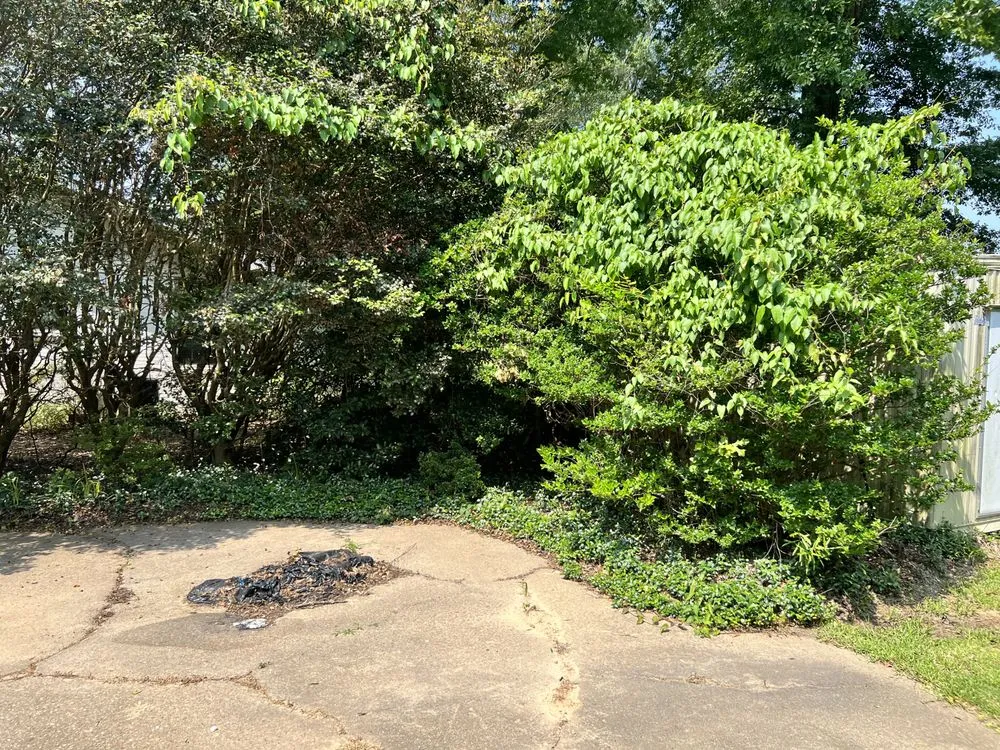 Custom landscaping services in Monroe, LA - Steel Lawncare