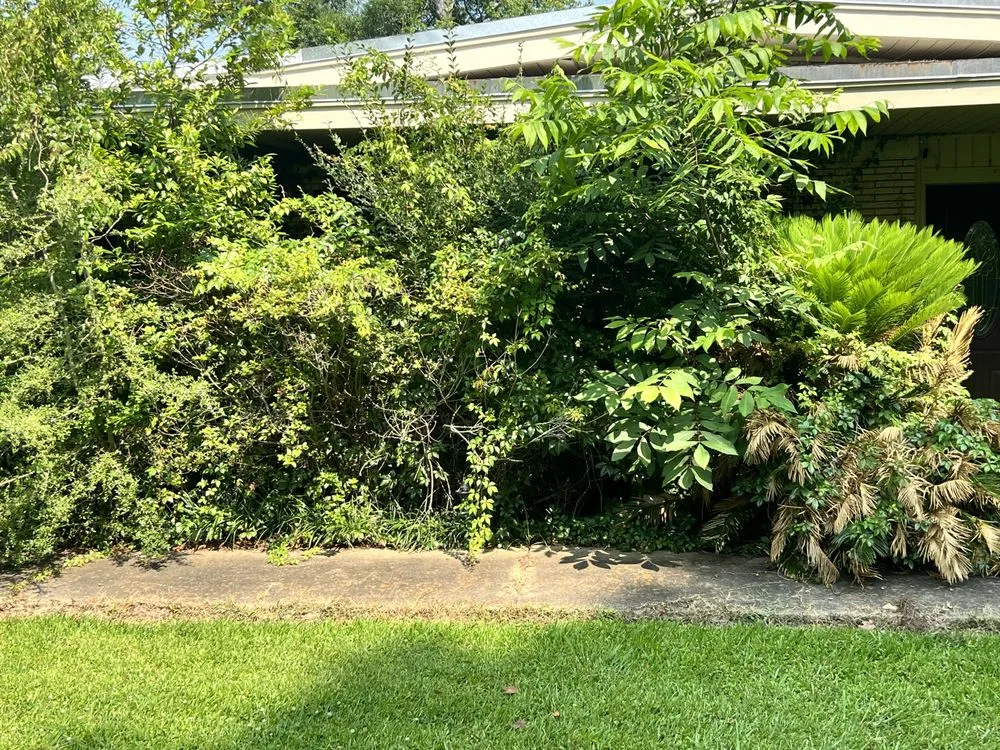 Reliable outdoor landscaping with custom design in Monroe, LA by Steel Lawncare