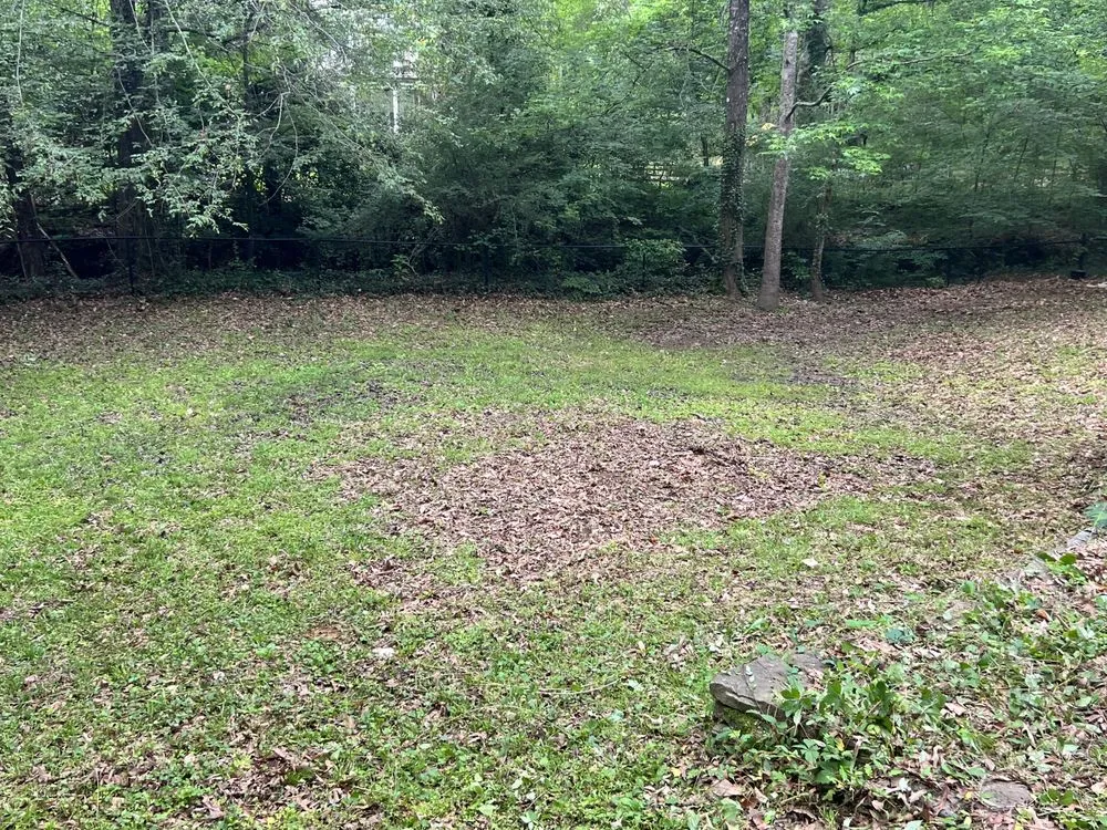 Custom outdoor landscaping in Monroe, LA - Steel Lawncare