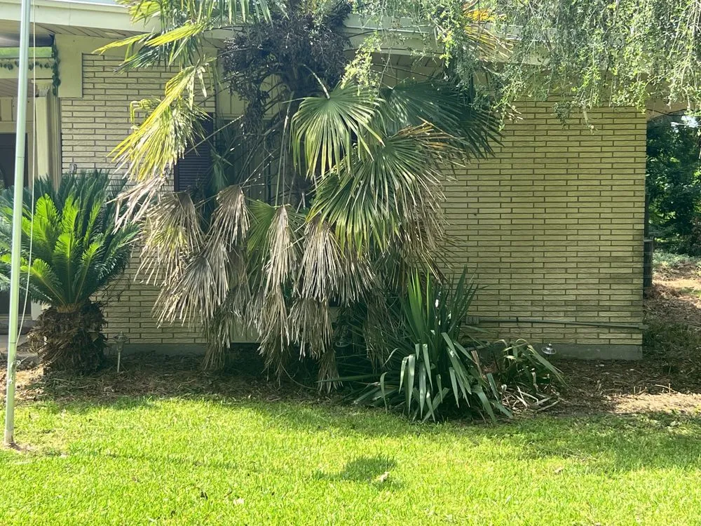 Professional landscaping services with custom design in Monroe, LA by Steel Lawncare