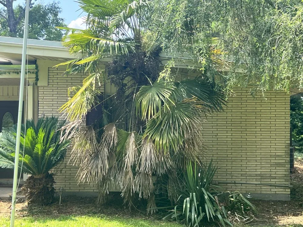 Trusted lawn mowing service in Monroe, LA - Steel Lawncare