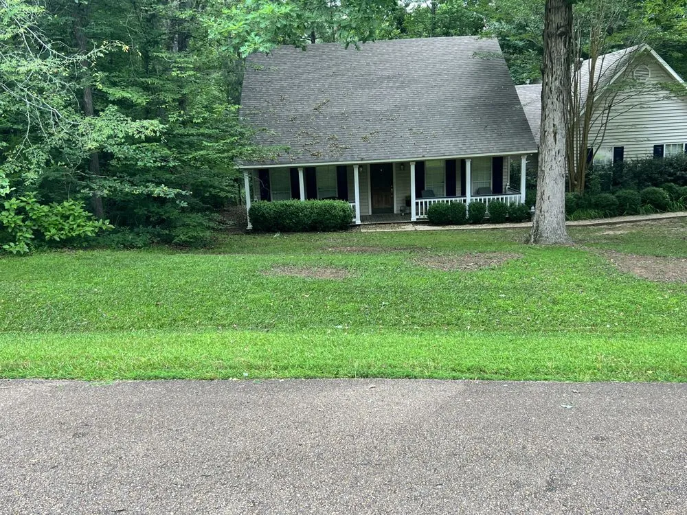 Top-rated lawn mowing service experts serving Monroe, LA - Steel Lawncare