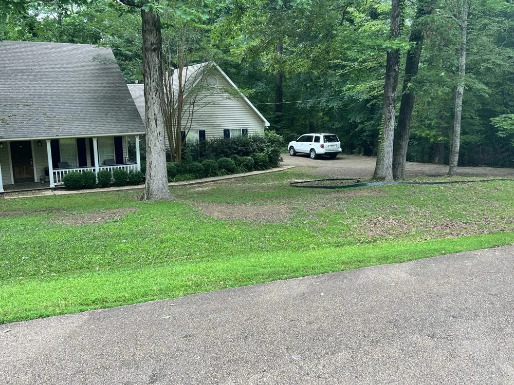 Reliable yard cleanup service in Monroe, LA - Steel Lawncare