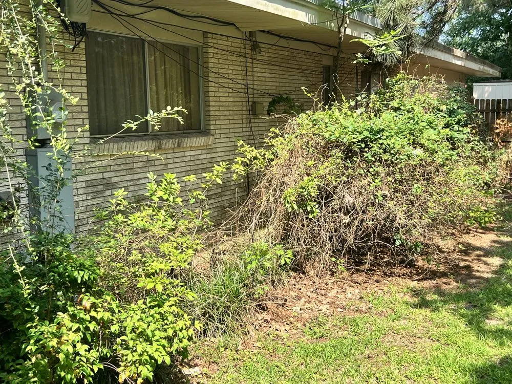 Affordable lawn care service for homes across Monroe, LA - Steel Lawncare