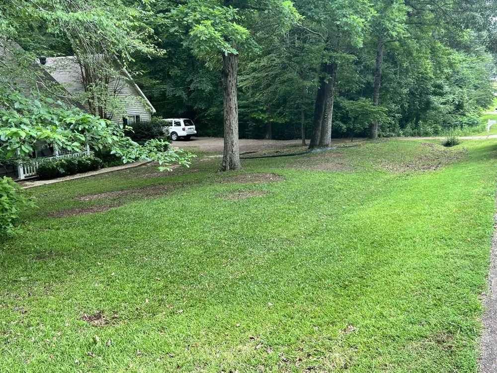 Top-rated yard maintenance in Monroe, LA - Steel Lawncare