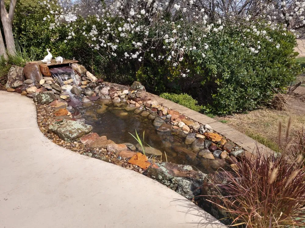 Reliable lawn care service near you across San Angelo, TX - Steel Toad Construction