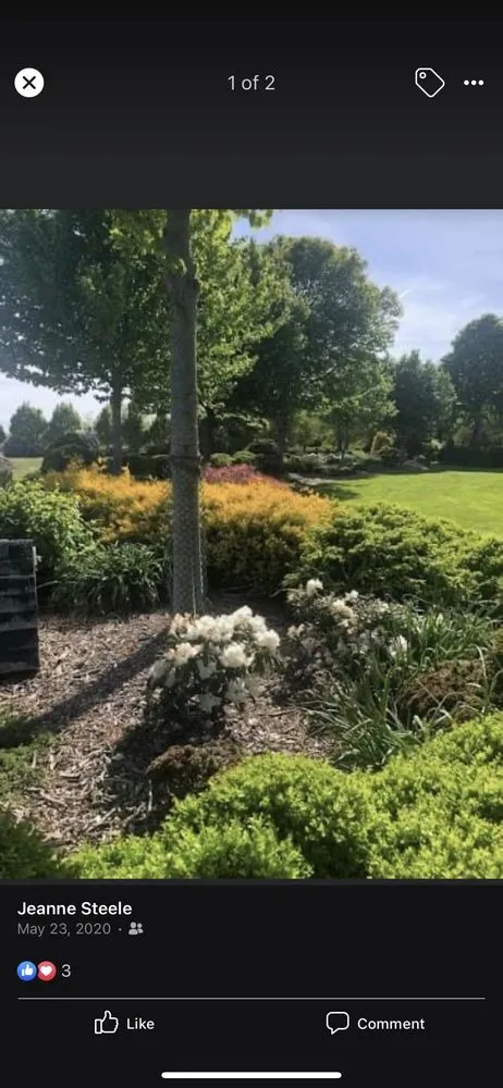 Top-rated lawn mowing service for residential properties across Old Westbury, NY - Steele Contracting