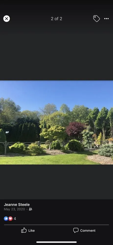 Local lawn care service in Old Westbury, NY - Steele Contracting