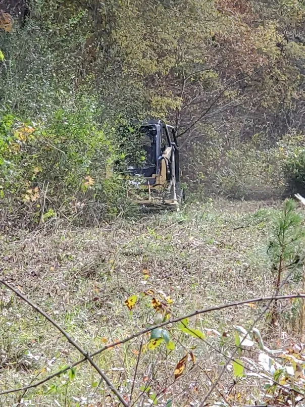 Professional residential landscaping in Hartselle, AL - Steele Farms & Land Management