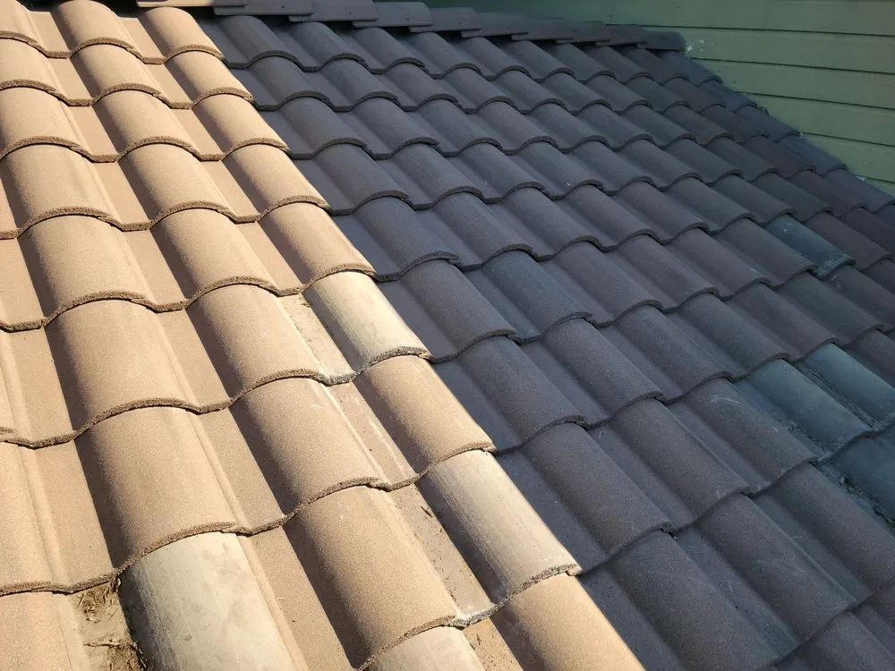 Local yard cleanup service experts serving Marble Falls, TX - Steele Green Services