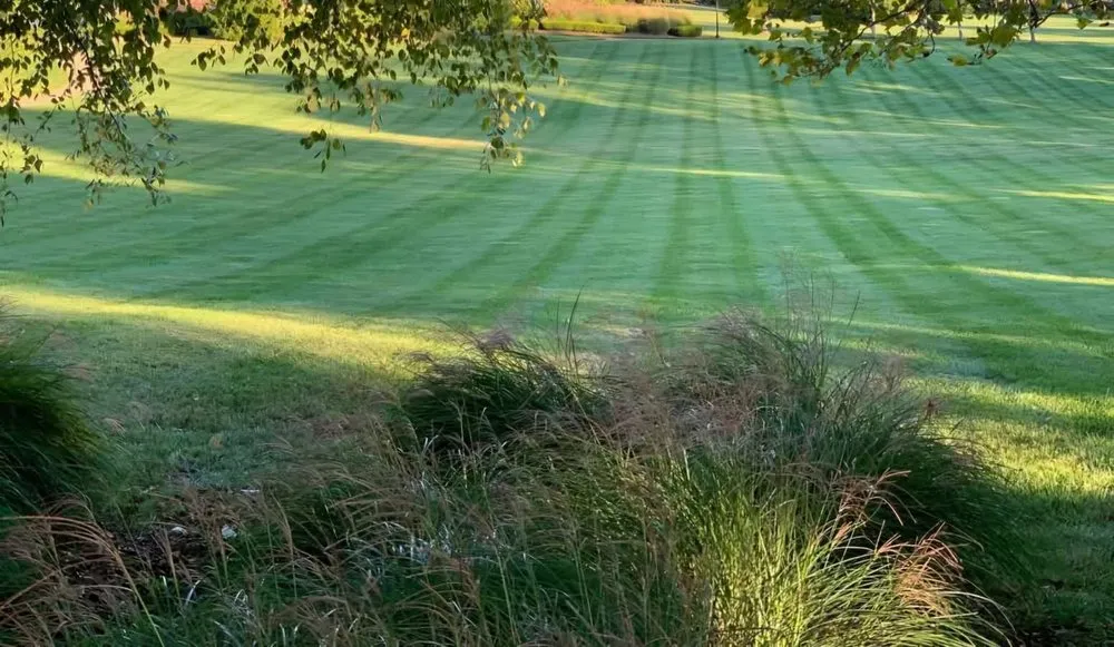 Top-rated landscape design for year-round maintenance across Nicholasville, KY - Steele Lawn And Landscape