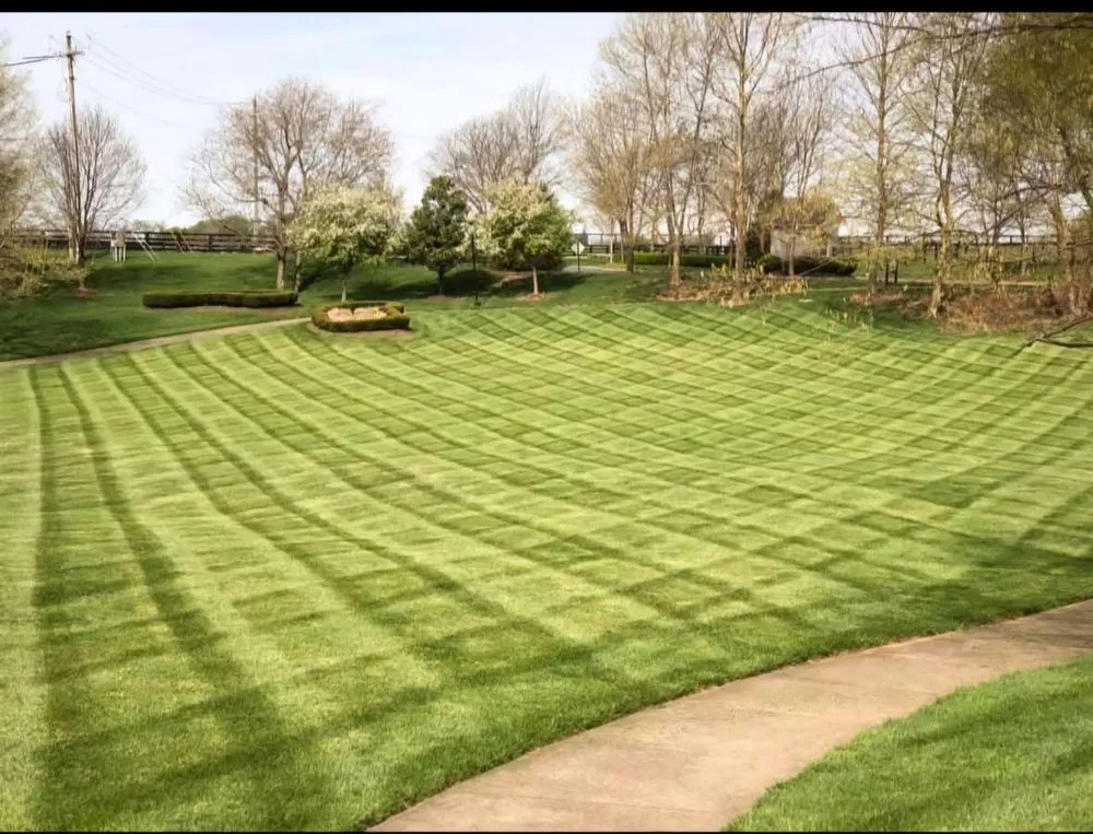 Expert landscaping services experts serving Nicholasville, KY - Steele Lawn And Landscape