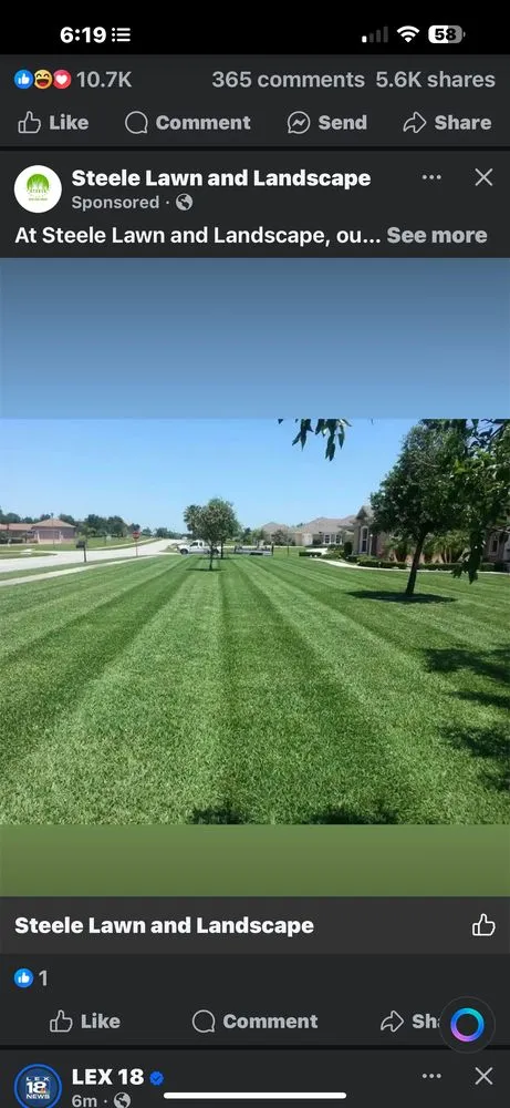 Local landscaping services experts serving Nicholasville, KY - Steele Lawn And Landscape